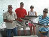 (06/04/2014) - Nice Striped Bass
